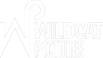 Wildcat Pictures